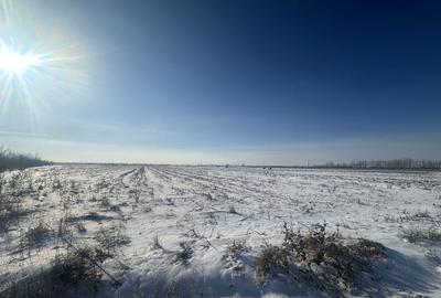 Teren Extravilan | 52 ari | Maneuti | Front 26 m | 55.500 € - 1