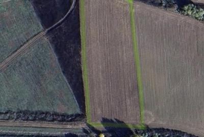 Teren intravilan de 5800 mp, la Asfalt zona Bucovat - 1