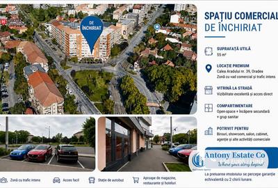Antony Estate | Chirie Sp Comercial - Calea Aradului - 5