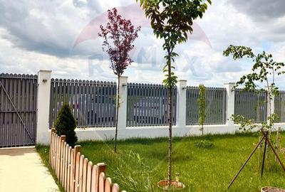 DE VANZARE Casa 3 camere/ teren 550 mp Cosoba / Giurgiu - 43