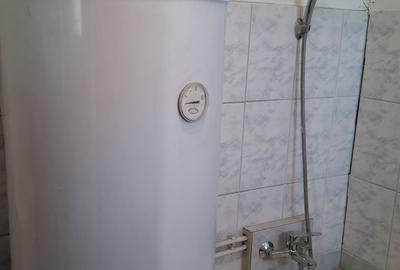 Casa 4 camere in Seitin Judetul Arad - 18