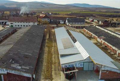 Ansamblu agrozootehnic cu renume,dotat +valoare exceptionala+potential versatil, - 47