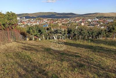 Teren intravilan 730 mp-livada-vedere panoramica-Valea Sigmirului - 3