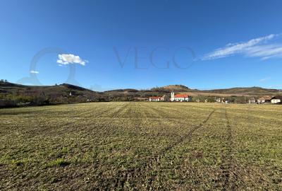 Teren intravilan de vânzare în Alma jud. Sibiu – 7.342 mp - 1