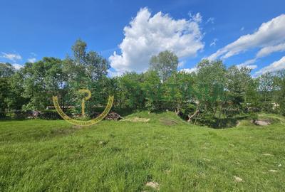 Teren de vânzare în Racovița, Sibiu – Valea Lupului - 7