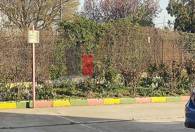 Prima închiriere apartament 2 camere cu centrală Dristor - Aleea Fizicienilor - 7