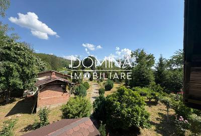 *Domeniu* cu potential turistic - casa de vis, livada si vie - Bumbesti-Jiu - 9