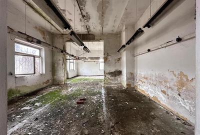 Hala, spatiu comercial, vad, de la 423mp la 1744mp, Vama Albita - 26