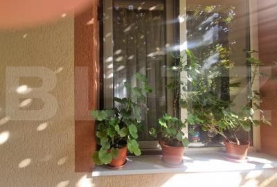 Casă 70 mp, 3 camere , bucatarie,  baie , teren 1270 mp, Prejmer - 5