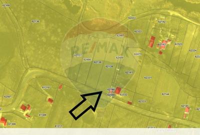 Teren intravilan Dumbraveni / Strada Principala - 2