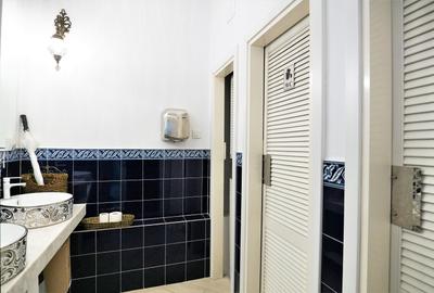 Vila D+P+1+M - birouri - Universitate - 7