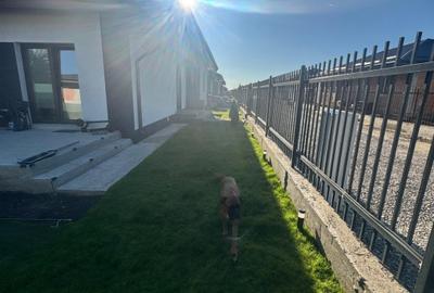 Casa de vanzare Clinceni - 4