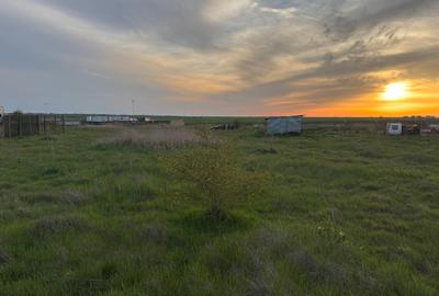 Teren Viile noi extravilan - 5