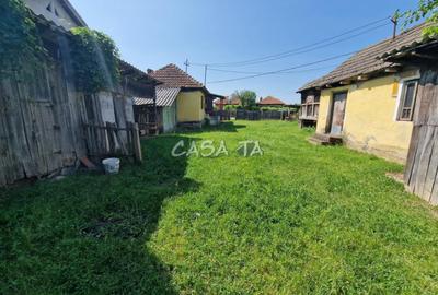 Casa 3 Camere + Teren si Anexe, Tirculesti- Danesti - 17