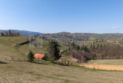 🌿 Teren Intravilan 3.791 mp | Priveliște Panoramică Superbă | Poiana Mărului - 20