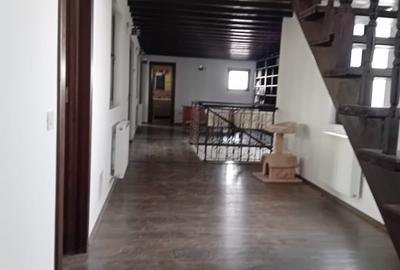 Vila moderna si spatioasa, constructie 2015, zona Mosilor - 12