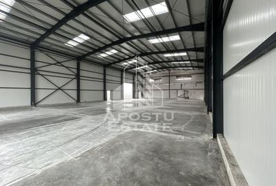 Hala cu Showroom, de inchiriat,  Strada Aeroport, aproape de VGP. - 4