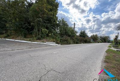 Lot teren 8.344 mp - Deschidere la 3 drumuri - Buhoci! - 1