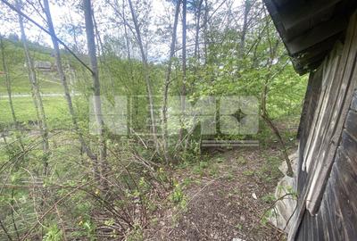 Teren Intravilan | Câmpulung Moldovenesc | 31ARI - 6