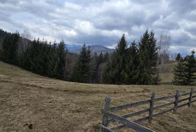 Teren intravilan construibil Brasov Bran  Poarta utilitati vedere spre munti - 6