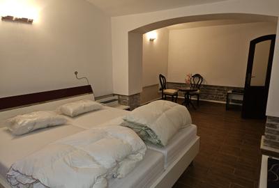 Apartament cu trei camere cu centrala,  spatios - 3