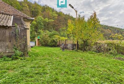 Casă cu teren generos Vărădia de Mureș - Stejar - 8