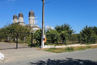 Teren Extravilan 10000 Mp Sibioara Constanta - 8