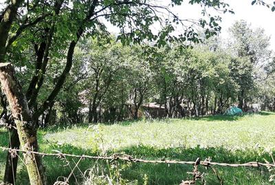 Teren Construcții intravilan de 1500 mp, în Rediu