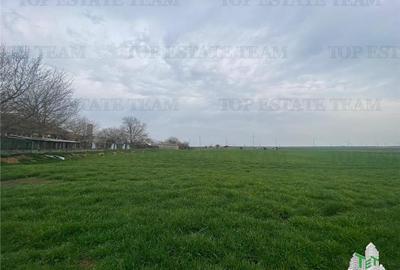 Teren Construcții intravilan de 444 mp, în Schitu