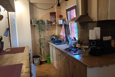 Apartament 67 mp util de vanzare Orizont 2 Paleu, zona metropolitana - 6