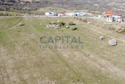 Teren intravilan 3658 mp Borhanci - 2