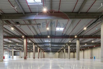 Spațiu industrial de închiriat 1.600mp - 9.000mp în Hală - Iasi (Vest) - 2