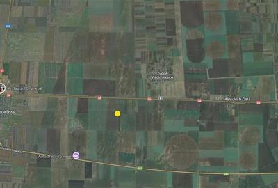 Teren agricol 100 ha| Comasat 100%| Categoria A1 - 5