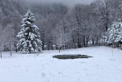 Casa moderna in mijlocul naturii cu lac, Cheisoara - 3
