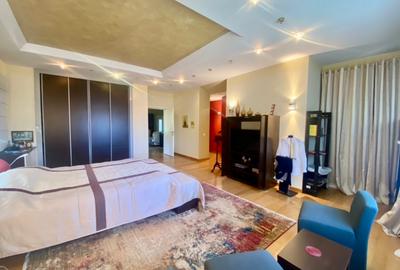 Vila de lux lângă Curtea Domnească – investiție premium Târgoviște, teren 1.700 - 49