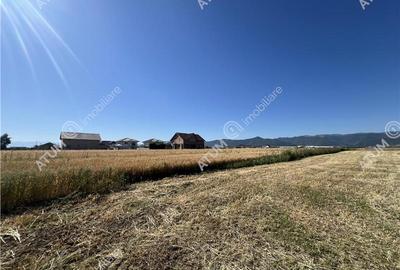 Teren intravilan de 543 mp cu PUZ constructie duplex in Cristian - 2