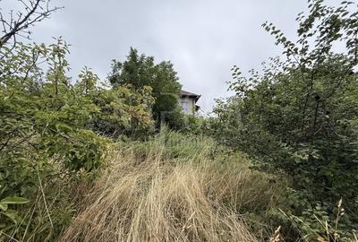 Teren intravilan pentru constructii de vanzare in Feleacu - 4