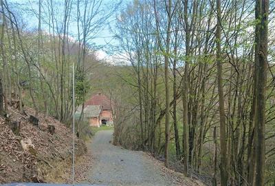 Domeniu de 7 ha in Apuseni - Criscior, Hunedoara - 7