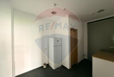 Inchiriere Spații de birouri – Clădire clasa A–Zona Băneasa - 7
