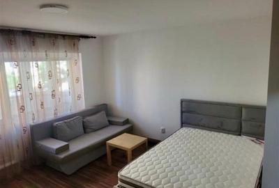 De inchiriat apartament cu o camera , Pacurari