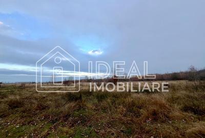 Teren extravilan 6.500 mp – Cârțișoara | Comision 0% - 5