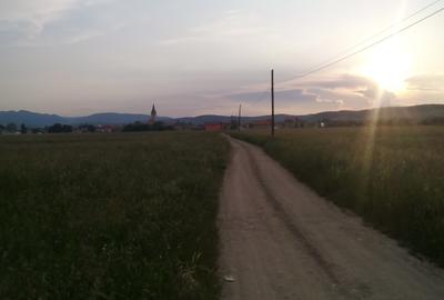 Imobiliare Maxim - teren in Cristian - 7
