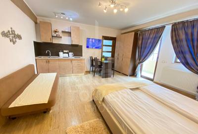 Studio de închiriat-Zona Centrala-1-3 luni - 3