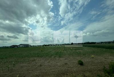 Vând Teren Intravilan 18.500Mp|  Dumbrăveni/SuceavaI 6000 EuroAr - 1