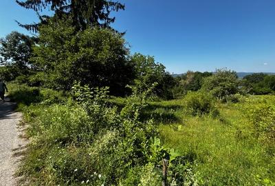 Teren doua loturi 3100 mp. - 2800 mp. Dăesti - Valcea - 16