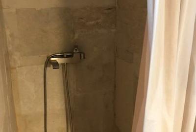 Garsoniera la casa de inchiriat Pet friendly - 10