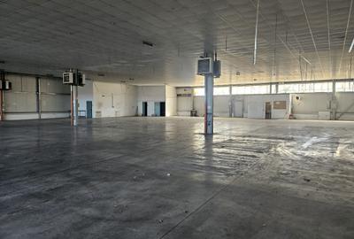 Spațiu industrial, 1300 mp în Ghiroda