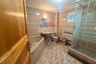 Leamna de sus, casa cu piscina, 2000mp - 17
