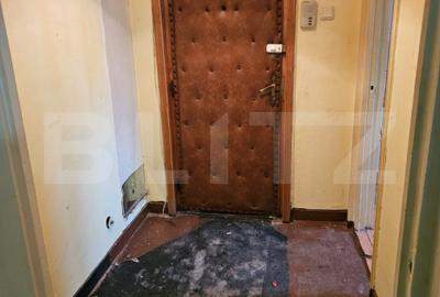Apartament cu 2 camere semidecomandat în Gojdu