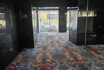 Spațiu Comercial de Vânzare 318mp- Gara de Nord-  Investiție garantata - 12